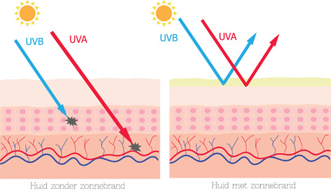 Adviezen-en-tips-over-zonnebrand UVA UVB straling op de huid