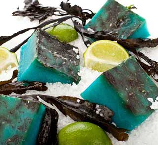 Lush sea vegetable